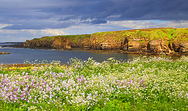 Cliffs near Dunnet Head, Caithness, Scotland