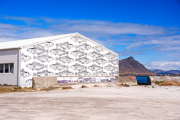 Hafbjargarh&uacute;s building with fish-scale facade mural by Tinna Royal, Akranes harbour, West Iceland