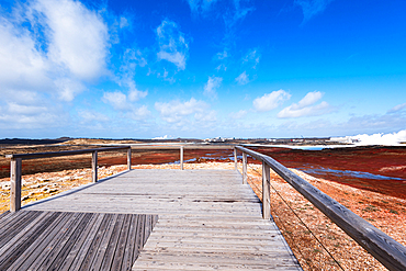 Wooden boardwalk leading toward vivid orange Gunnuhver geothermal mineral flats and steam vents under blue sky, Reykjanesta, Reykjanes Peninsula, Iceland.