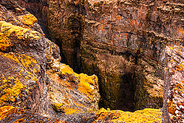 Vivid orange moss on basalt walls near one of Iceland?s tallest waterfalls with a deep gorge view