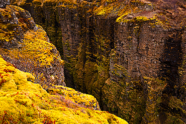 Exploring the deep gorge with moss-covered basalt walls in a unique landscape of Iceland