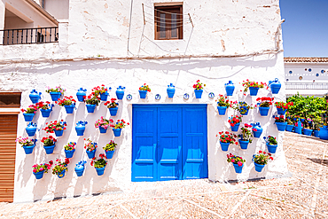 Izn&aacute;jar, C&oacute;rdoba, Andalusia, Spain. Blue flowerpots of geraniums flanking a bright blue door on a sunlit whitewashed wall. Whitewashed village architecture and Andalusian colour.
