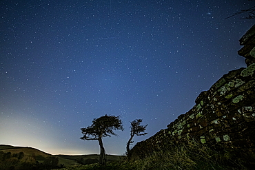 Starry skies above amphitheatre near Furness Abbey in Barrow, Cumbria, on a clear night in the United Kingdom