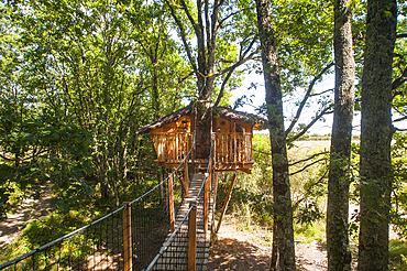 Tree house Chanteclair, Chalais, Indre department, province of Berry, region of Centre, France, Europe