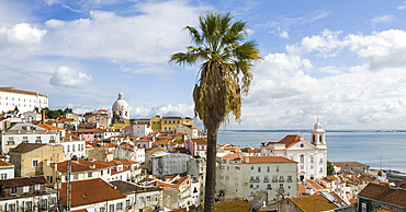 Overview of Alfama district showing rooftops, palm trees, and the river in Lisbon, Portugal during daylight hours