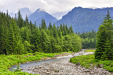 Bialka River flows through forests near Lysa Polona in Tatra National Park of Poland