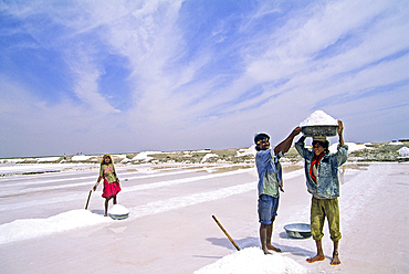Workers on a salt evaporation pond at Rann of Kutch,State of Gujarat,India,South Asia