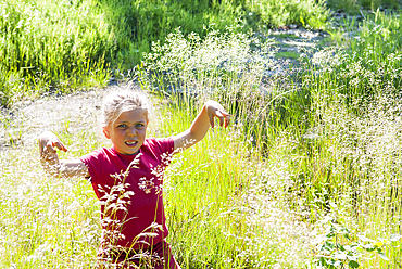 Young girl among grass in a clearing,Forest of Rambouillet,Yvelines department,Ile-de-France region,France, Europe