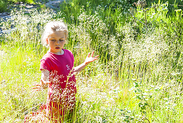 Young girl among grass in a clearing,Forest of Rambouillet,Yvelines department,Ile-de-France region,France, Europe