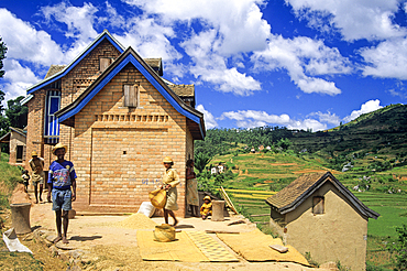 Rice drying,Ambalavao,Central Highlands,Republic of Madagascar,Indian Ocean