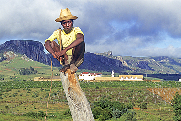 Watchman, in charge of driving away the birds with his whip, in the vineyards of Lazan'I Betsileo wine growing estate,Central Highlands,Republic of Madagascar,Indian Ocean