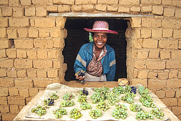 Dessert grape seller,Central Highlands,Republic of Madagascar,Indian Ocean