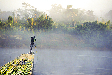 Man on a bamboo raft, banks of the Mananjary river in the morning mist, Madagascar, Indian Ocean, Southeast Africa