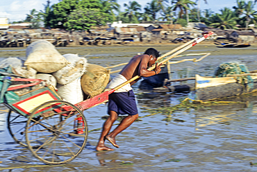 Pulled rickshaw on the beach, Tulear, Southern Madagascar, Indian Ocean, Southeast Africa
