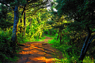 Walk along the Songaksan trail as the light fades on Jeju Island in South Korea