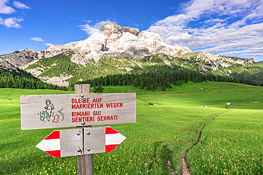 Hiking signage in green meadows with Croda Rossa, Prato Piazza, Alta Pusteria, Dolomites, South Tyrol, Italy