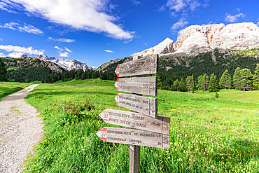 Hiking signage with Croda Rossa d'Ampezzo, Prato Piazza, Alta Pusteria, Dolomites, South Tyrol, Italy
