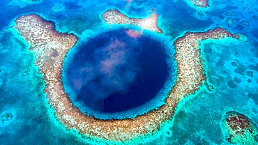 Diving into the depths of the Great Blue Hole with clear waters and vibrant marine life in Belize