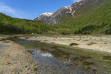 Exploring the rocky shore and clear water near Melfjord in Svartisen National Park, Norway on a sunny day