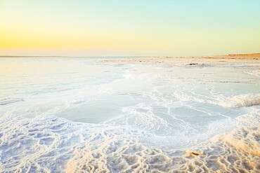 Close up Dead Sea salt crystals on shoreline beach in Jordan at sunset with turquoise water desert coast lowest point on Earth landscape. Jordan - Israel border line zone