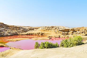 Pink salt pools near Dead sea shore with turquoise water rocky coast mineral landscape unusual nature concept Jordan. Famous panorama viewpoint stop along Dead sea road trip