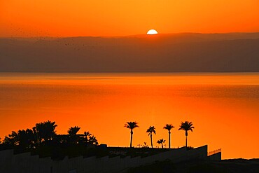 Dead Sea Jordan sunset vertical timelapse with orange glow, calm water reflection, palm silhouettes, peaceful travel mood, nature beauty, climate and water scarcity concept
