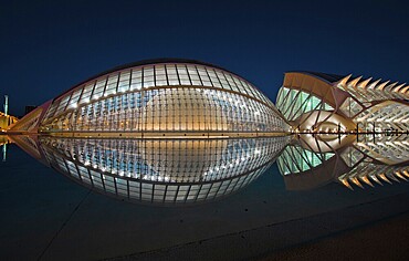 The City of Arts and Sciences in Valencia, Spain, showcases breathtaking modern architecture at night, reflecting beautifully on the surrounding water, creating a serene visual spectacle