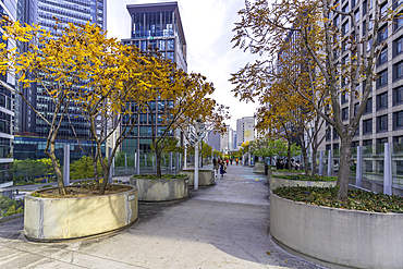 View of Seoullo 7017 elevated walkway with city buildings and people in Yongsan District, Seoul during daytime in South Korea