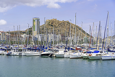 Boats fill Alicante Marina with Castillo de Santa Barbara in the background under blue skies in Alicante, Costa Blanca, Spain