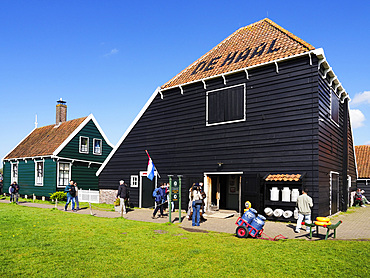 Cheese Farm at Zaanse Schans Netherlands