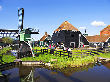 Cheese Farm at Zaanse Schans Netherlands