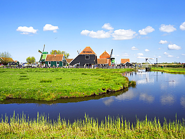 Cheese Farm at Zaanse Schans Netherlands