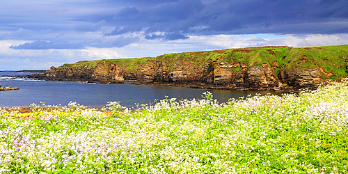 Cliffs near Dunnet Head, Caithness, Scotland