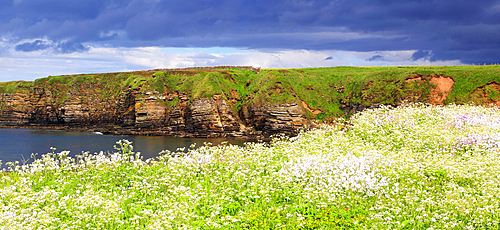 Cliffs near Dunnet Head, Caithness, Scotland