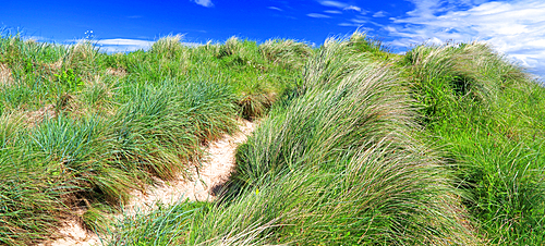 Dunnet Bay, Caithness, Scotland