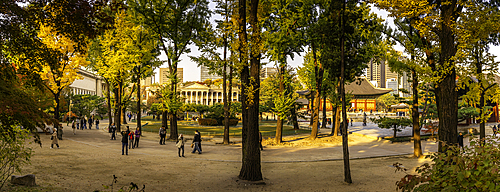 View of Deoksugung Palace as visitors enjoy the autumn scenery in Jung District, Seoul, South Korea