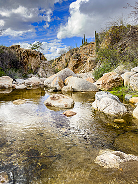 Seasonal creek in Catalina State Park, located at the base of the Santa Catalina Mountains, Oro Valley, Arizona, USA.