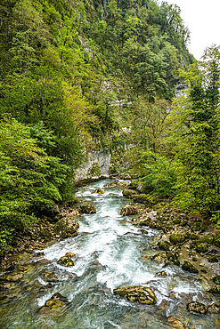 Flowing waters of Lupshara River through dense greenery in Ritsa Relict National Park, Russia