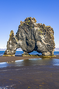 Famous Hvitserkur sea stack, Vatnsnes Peninsula, Iceland