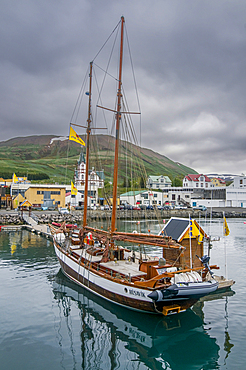 Sailing boat with passengers in harbor, Husavik, Iceland