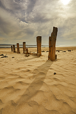 A disintegrating old groyne near Crow Point, on the shore of the Taw and Torridge estuary, near Barnstaple, Devon, Great Britain.