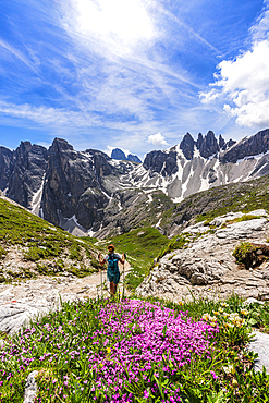 Hiker on path surrounded by wildflowers in bloom, Sesto Dolomites, South Tyrol, Italy