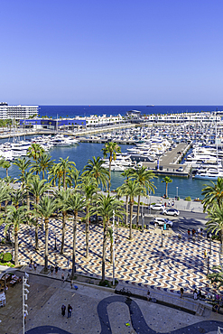 Elevated view of Alicante Marina with boats and palm trees on a sunny day in Costa Blanca, Spain