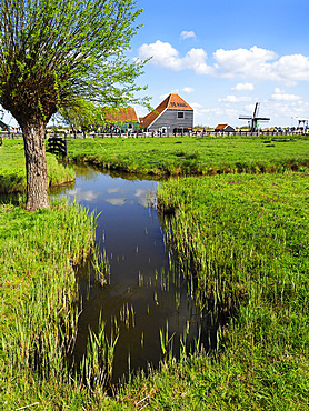 Cheese Farm at Zaanse Schans Netherlands