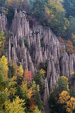 The Earth Pyramids or Hoodoos of Longomoso, also known as The Earth Pyramids of Ritten, Piramidi di Terra Longomoso, Ritten Plateau, South Tyrol, The Dolomites, Italy